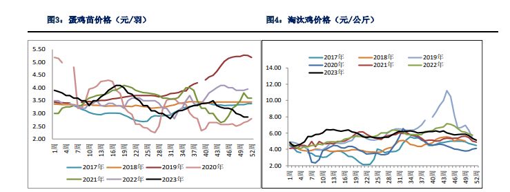 现货利润改善幅度有限 鸡蛋短期进入震荡调整阶段